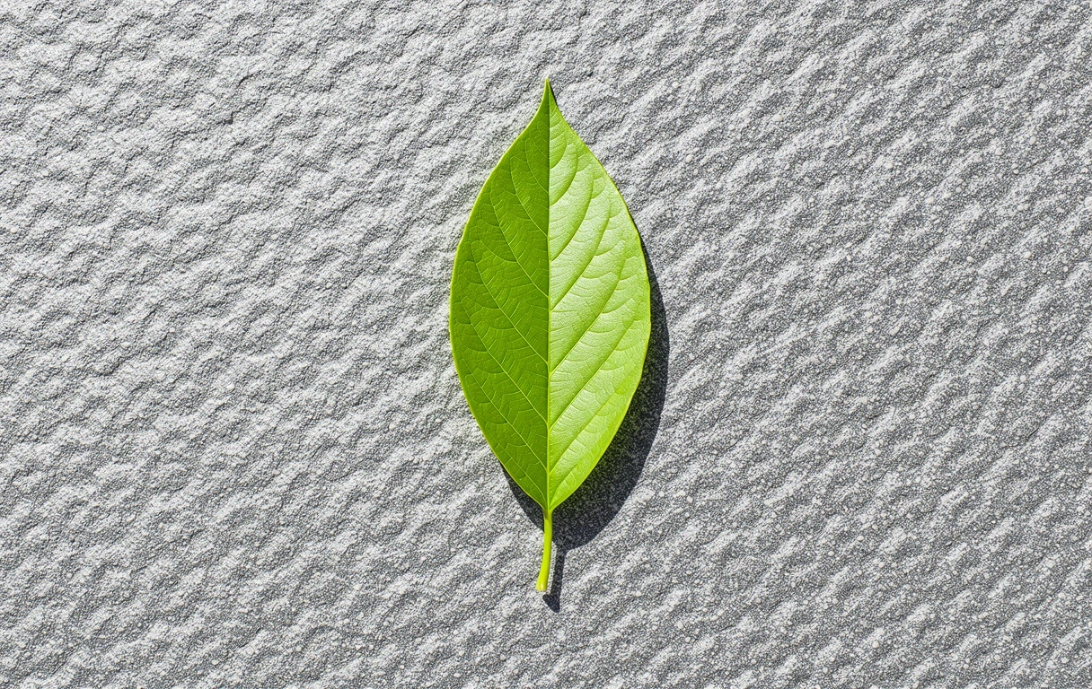 Minimalist natural texture